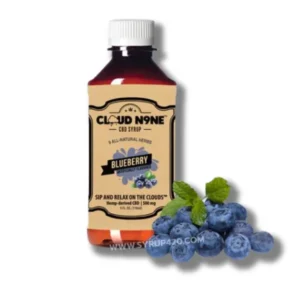 CLOUD N9NE BLUEDRRY 118 ML