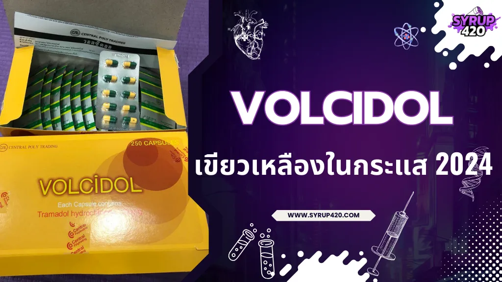 Volcidol เขียวเหลืองในกระแส 2024